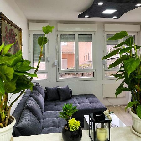 קרגיובאק Apartment Tatjana מראה חיצוני תמונה